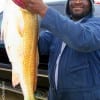 Houston angler Edward Walker nabbed this HUGE 38 inch Bull Red while fishing shrimp