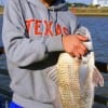 Marina Ochoa of Austin hefts this nice 27 inch keeper eater drum caught on live shrimp