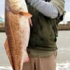 Omar Rodriguez of Houston fished shrimp to wrangle up this HUGE 42 inch Bull Red