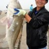 Phuong Hoang of Houston caught and released this HUGE 35 inch drum, his third of the morning