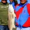 Father and son fishing team Jonry and Rolly Edralin of Sugar Land TX nabbed this nice 32 inch Bull Red
