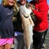 The Wilcox family of Huffman TX wrangled up this 38 inch Bull Red for supper while fishing squid