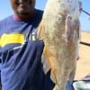 Adell Miller of Missouri City TX wrangled up this nice keeper drum fishing shrimp