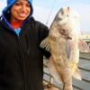 Ancil Mathew of Dallas caught this nice 27 inch drum on shrimp