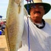 Don Kernan of Port Bolivar TX fished a soft plastic for this 29 inch 7-11 lb Gator-Speck