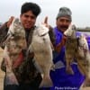 Father and son- The Corona Familia of Dayton TX heft their drum catches they caught on shrimp