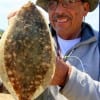 Hernando Armendor of Houston took this nice flounder on live shrimp