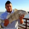 Houston angler Jeffry Magia fished live shrimp to catch this nice drum