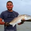 Mario Pena of Houston caught and released this 29 inch redfish while fishing shrimp