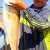 Steve Marquez of Houston caught and tagged this 34 inch Bull Red while fishng shrimp