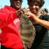 The Rochesters of Houston proudly display Sharon's very first fish- a nice sheepshead she caught on shrimp