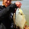 Wanda Annes of New Caney TX wrastled up this RARE Rollover Pompano while fishing shrimp