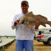 Angler Len C'asarez caught and released this HUGE 34inch Bull Drum while fishing live shrimp
