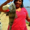 Asia Harris of Houston caught this nice keeper drum while fishing shrimp