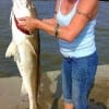 Dayton TX anglerette Jeannie Thomas caught and released this HUGE 44inch Bull red she took on cut mullet