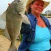Debbie Brock of Tomball TX caught this keeper drum on shrimp