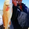 Ed Worthey of Richmond TX nabbed this nice 24inch slot red while fishing live shrimp