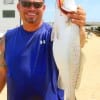Eli Peralta of Humble TX caught and released this nice 26inch speck took on a T-28 MirrOlure