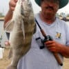 Goo-Guide Don Kernan of Port Bolivar actually caught this keeper drum on a Hogan-R lure