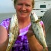 Janice Hosea of Cold Springs TX fished shrimp for these and other Whiting bound for the supper table