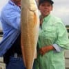 Jimmy and Gwen Staples of Magnolia TX took this nice 28inch slot red on live shrimp