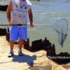 John Harbour of Conroe TX landed this nice cow-ray he took on squid-x