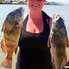Liberty anglerette Melanie Bergeron caught these two nice keeper drum while fishing shrimp