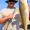 Rick Stanfield of Friendswood TX lite-tackled this 31inch Bull Red with 8lb test mono rigged up to a 7ft Castaway Pro-Sport rod with a Shimano Syradic FI4000 Spin reel