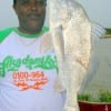 Ron Roberts of Houston took this nice keeper drum on live shrimp