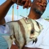 Samuel Davis took this really nice Angel Fish while fishing with squid