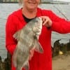 Teresa Wilson of Dayton caught this nice keeper drum while fishing shrimp