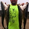 Winnie TX troutman Donnie Lucier took 4 to 6 lb specks on the early tide with soft plastics