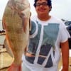 Chris Rivera of Houston caught this nice 22inch drum on a shrimp