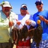 College Station Fishin buds Mike and Bob Eyeingto waded Rollover Bay with Ross Bingaman to catch these nice flounder on soft plastics