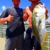 Fishin buds Sean Sheerman of Mankato MIN and Houston's John Flemimng tackled this HUGE Jack Crevaile while fishing shad