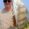 Jim Creamer of Ft. Worth caught this nice keeper drum on shrimp