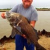 Magnolia TX angler Ed Cooper fought a toe to toe battle with this HUGE 36inch - 22 lb Black Drum- he caught and released while fishing shrimp
