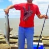 Pasadena TX angler Ricardo Valverde caught and released this 3ft Blacktip shark while fishing a finger mullet