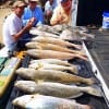 The ReHab Fishin Krewe of Leauge City took this MESS-O-FISH on shrimp n'lures
