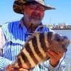 Victor Miller of ChannelView TX fished shrimp for this nice sheepshead