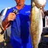 Charles Neal of Santa Fe TX wade fished free-lined live croaker to snatch this 28inch - 7 lb gator-speck