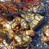 Crab Trap full of Stone Crabs