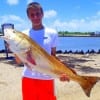 Crosby TX angler Cade Warnke fished the surf with live croaker to Take this HUGE 41inch Tagger Bull Red