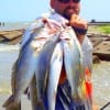Donnie -Troutmaster- Lucier of Winnie TX put together this 10 speck limit while fishing the surf with Bass Assasins