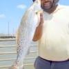 Henry of Chambers County took this nice speck while fishing live shrimp