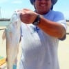 Houston angler Henry Murillo nabbed this nice gafftop while fishing shrimp