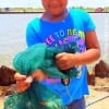 I wanna go crabbing at Rollover, 8yr old Karen Guerra of Port Arthur TX wished for her Birthday- and POOF- a sack iull of blue claws appeared- HAPPY B-Day Karen