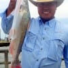 Jonry Edralin of Conroe TX nabbed this nice gafftop while fishing shrimp