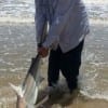 Lufkin TX angler Barry Culbertson was surf fishing with cut bait when he hooked and landed this 5ft Thrasher Shark- RELEASED