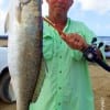 Santa Fe TX angler Charles O'Neal wade fished the surf with live croaker to catch this 27inch gator-speck